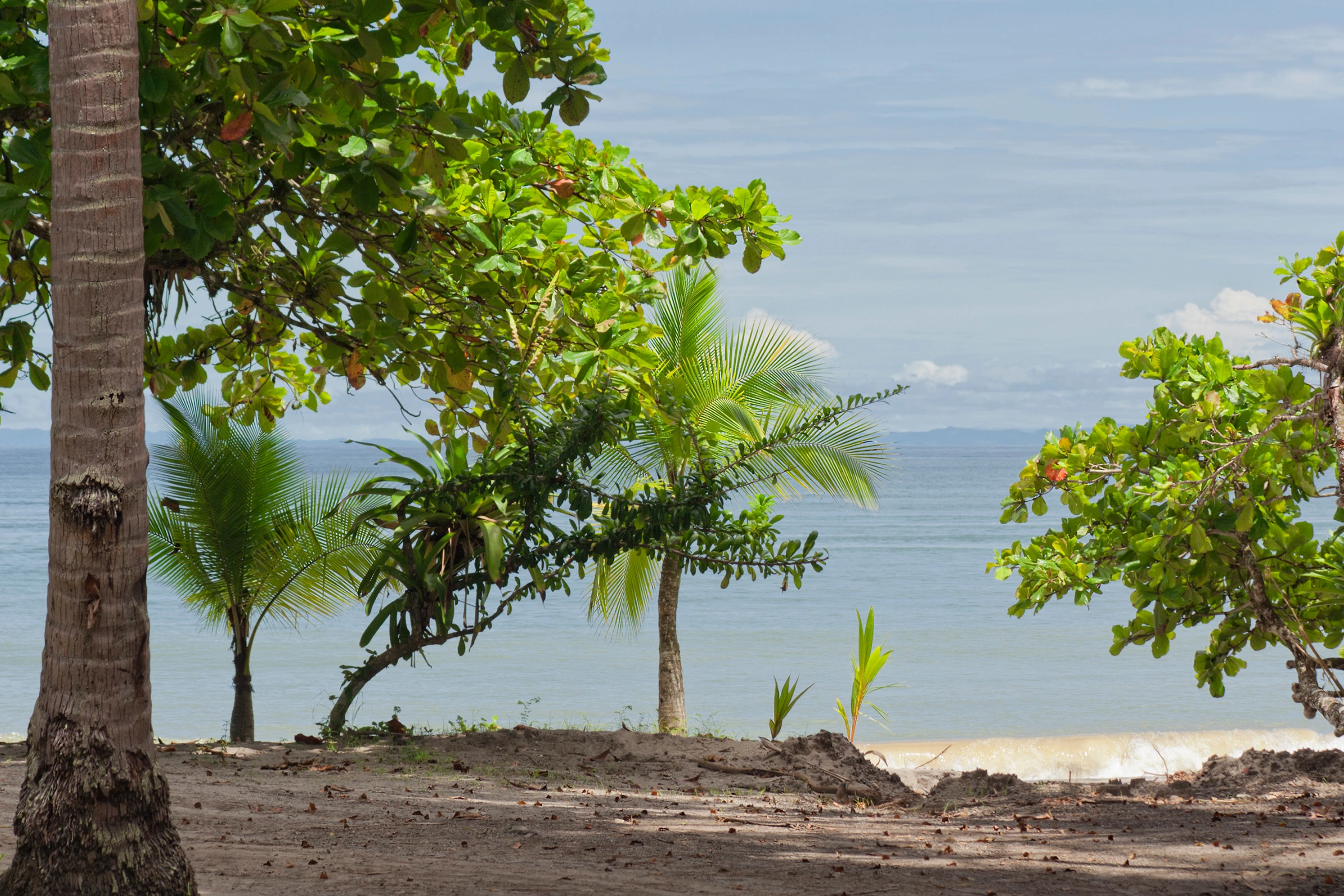Punta_Leona[1].webp